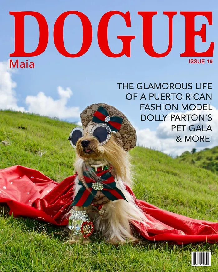 Dogue: 24 Cover Images Of Playful Fashion Dog Parody Of Vogue Magazine