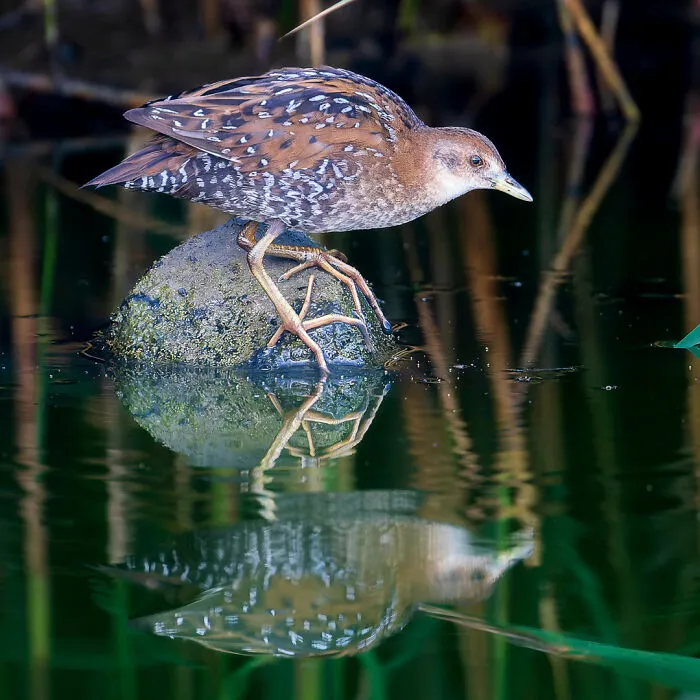 A Photographer Captures Nature’s Most Breathtaking Moments, And Here Are His 30 Best Shots