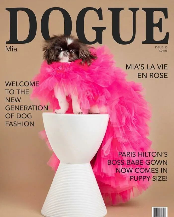 Dogue: 24 Cover Images Of Playful Fashion Dog Parody Of Vogue Magazine