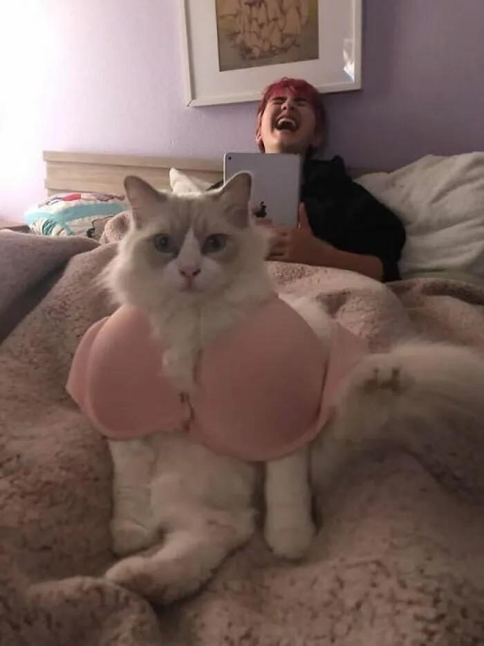 50 Random Pictures So Weird and Funny You Can't Look Away