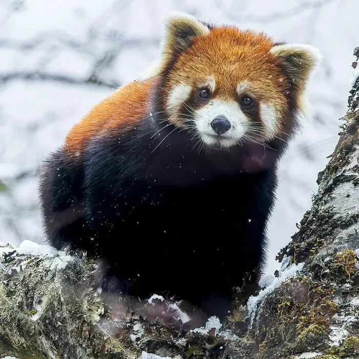 A Photographer Captures Nature’s Most Breathtaking Moments, And Here Are His 30 Best Shots