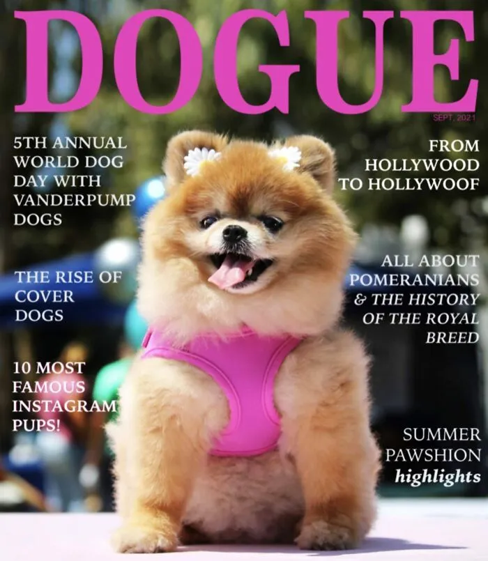 Dogue: 24 Cover Images Of Playful Fashion Dog Parody Of Vogue Magazine