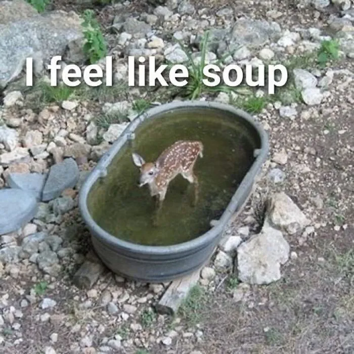 29 Random Funny Memes That May Make You Want To Share Them With Others
