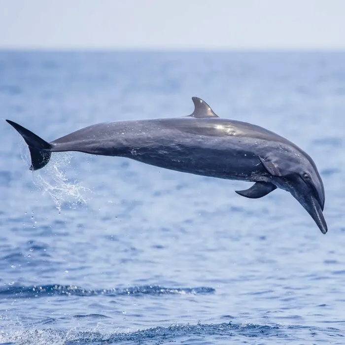 A Photographer Captures Nature’s Most Breathtaking Moments, And Here Are His 30 Best Shots