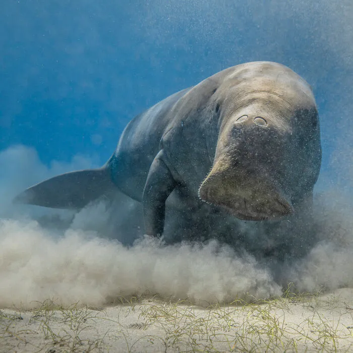 A Photographer Captures Nature’s Most Breathtaking Moments, And Here Are His 30 Best Shots