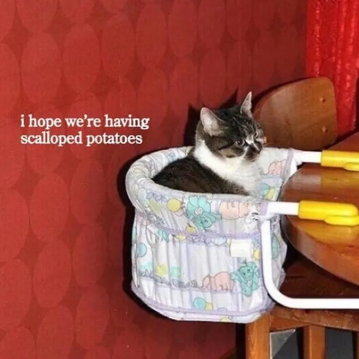 29 Random Funny Memes That May Make You Want To Share Them With Others
