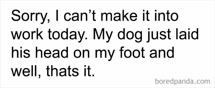 Doggone Good Excuse