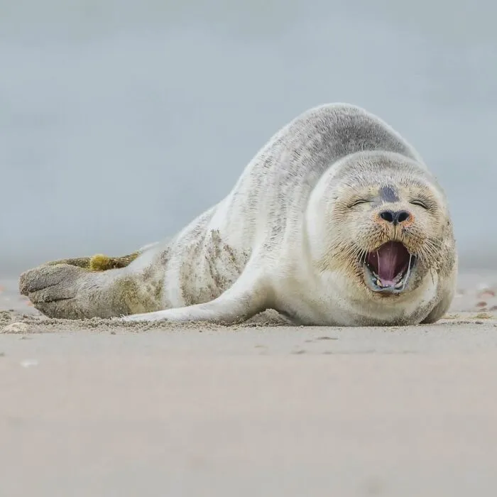 A Photographer Captures Nature’s Most Breathtaking Moments, And Here Are His 30 Best Shots