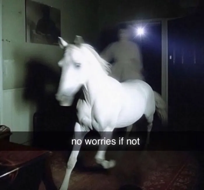 A person and a horse in a dimly lit room with the humorous text "no worries if not" overlayed. Funny memes chuckle.