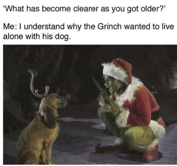30 Spooky And Sassy Memes That Prove Sarcasm Is The Ultimate Witchcraft