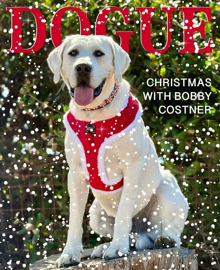 Dogue: 24 Cover Images Of Playful Fashion Dog Parody Of Vogue Magazine