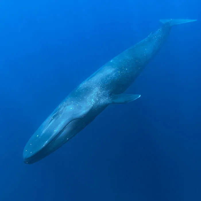 A Photographer Captures Nature’s Most Breathtaking Moments, And Here Are His 30 Best Shots