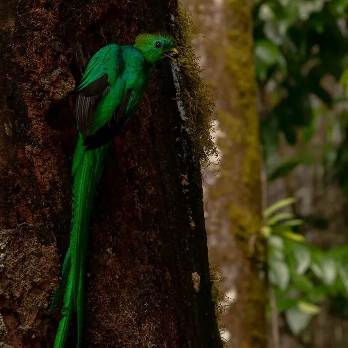 30 Unforgettable Wildlife Moments Captured By This Photographer