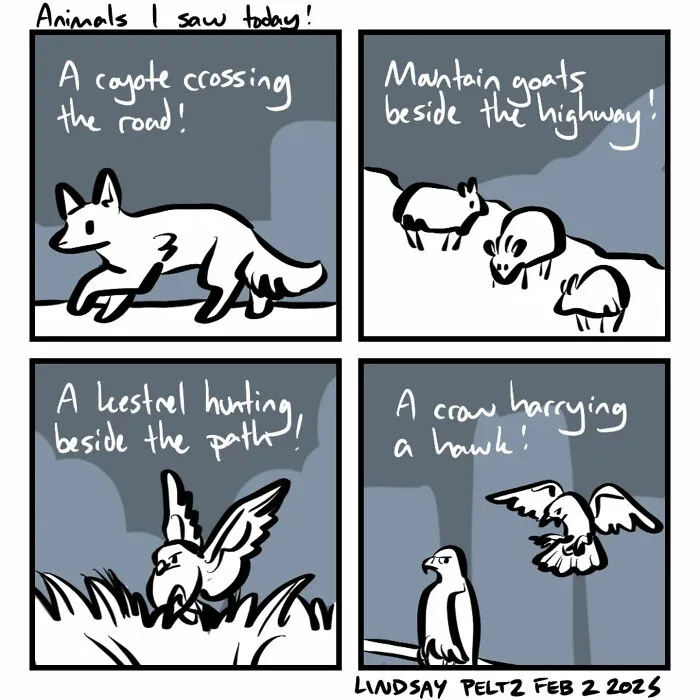 Artist Created 25 Relatable Comics That Perfectly Capture Life’s Struggles