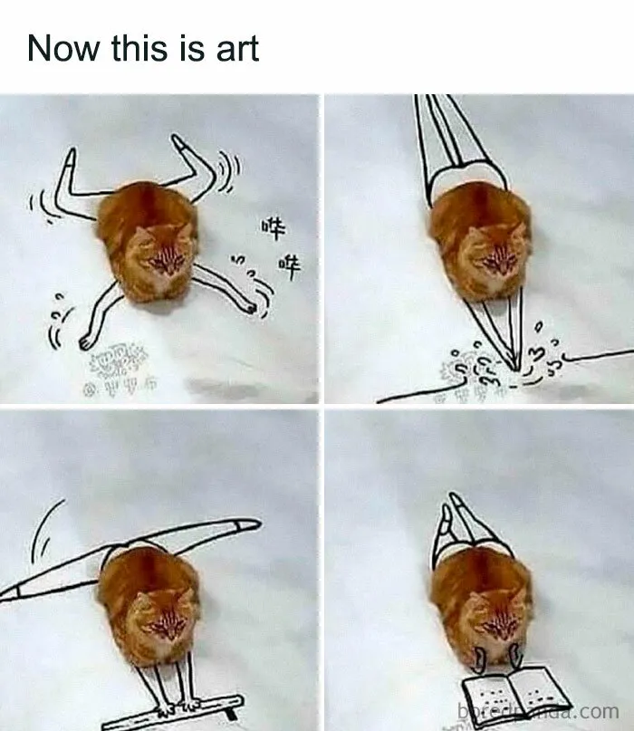 Funny cat cleverly integrated into doodles, creating humorous and awkward animal art scenes.