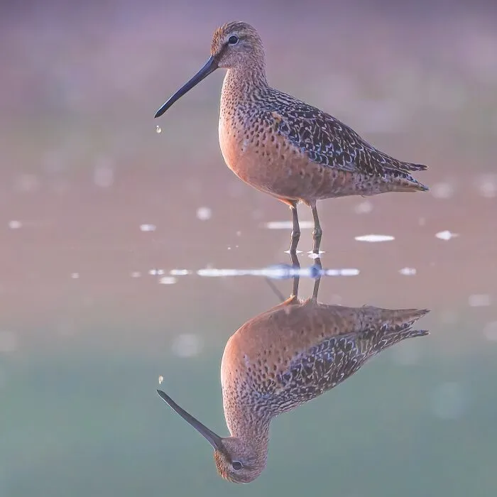 A Photographer Captures Nature’s Most Breathtaking Moments, And Here Are His 30 Best Shots