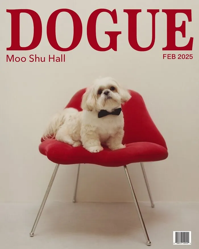 Dogue: 24 Cover Images Of Playful Fashion Dog Parody Of Vogue Magazine