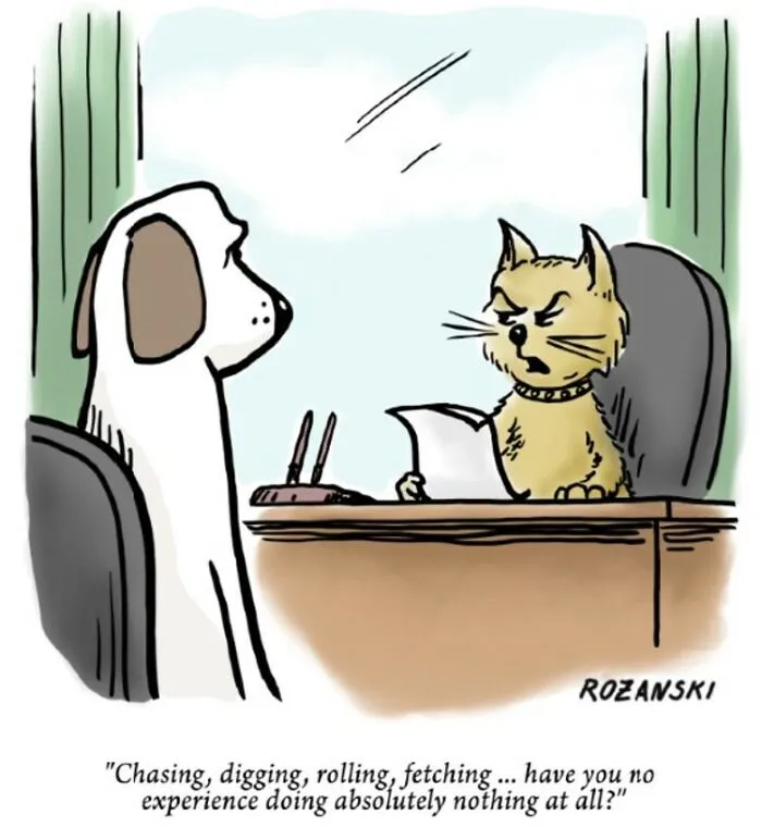 Appeared In The Oldie (UK)