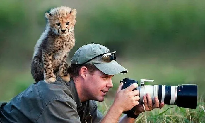 21 Funny Moments When Animals Disturbed Wildlife Photographers At Work
