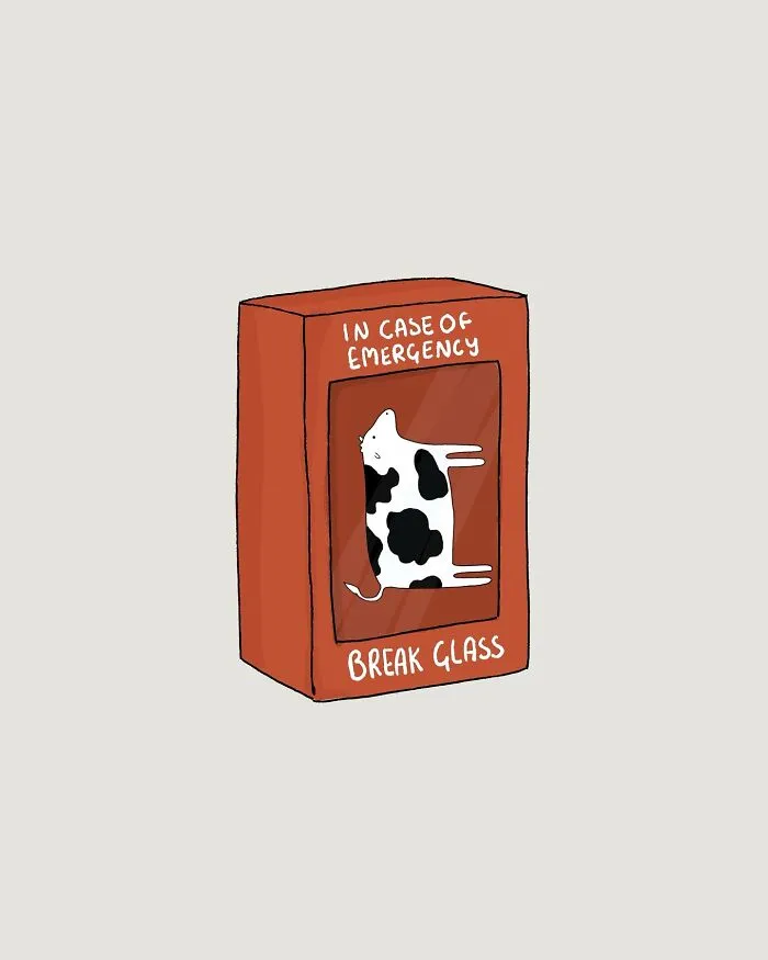 29 Relatable, Silly, And A Little Unhinged Illustrations Of Cows, Created By This Artist