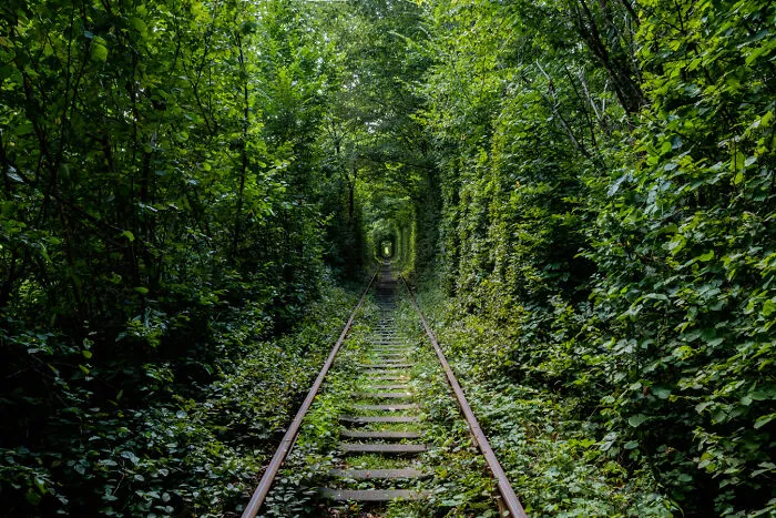 "What If We Disappeared?" By Romain Veillon