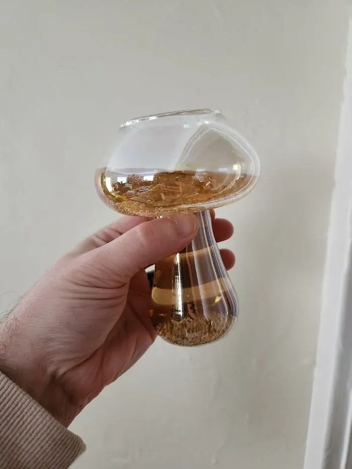 Fungi Fans, Rejoice! The Whimsical <a Style="Display:inline;" Href="Https://Www.amazon.com/Mushroom-Iridescent-Glassware-Cup-Glass/Dp/B0ch1pvjcg?ie=utf8&linkcode=ll1&tag=bppelican-20&linkid=067834376938a2e68062a304bfbbd126&language=en_us&ref_=as_li_ss_tl" Target="_blank"> <span Style="Font: Inherit; Color: #d74b1f;"> Mushroom Cocktail Glasses </Span> Bring A Fantastical Flair To Your Home Bar And Make Every Sip A Fun-Gi Experience