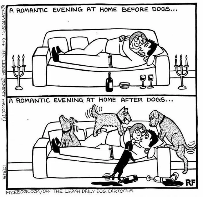 Cartoon shows a couple's romantic evening disrupted by dogs, humorously illustrating the reality of owning a dog.
