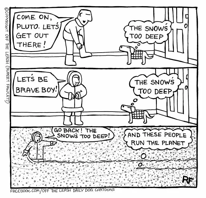 30 "Off The Leash" Cartoons That Perfectly Sum Up Life With Dogs (New Pics)