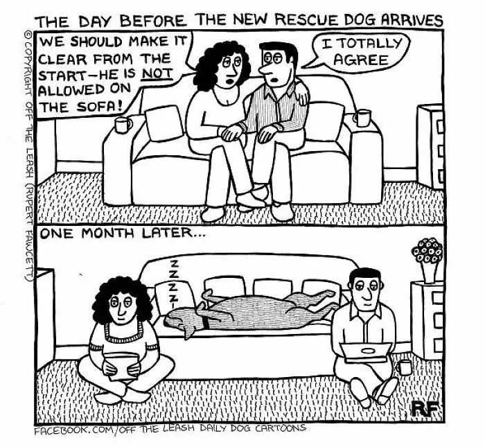 30 "Off The Leash" Cartoons That Perfectly Sum Up Life With Dogs (New Pics)