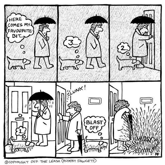 30 "Off The Leash" Cartoons That Perfectly Sum Up Life With Dogs (New Pics)