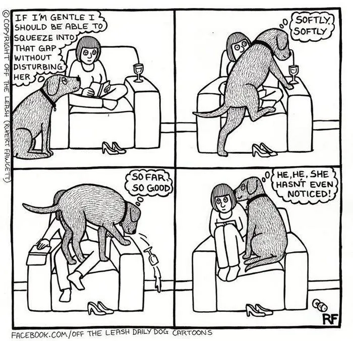 30 "Off The Leash" Cartoons That Perfectly Sum Up Life With Dogs (New Pics)
