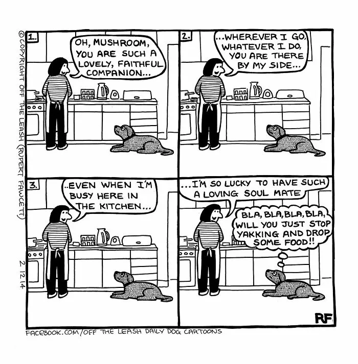 30 "Off The Leash" Cartoons That Perfectly Sum Up Life With Dogs (New Pics)