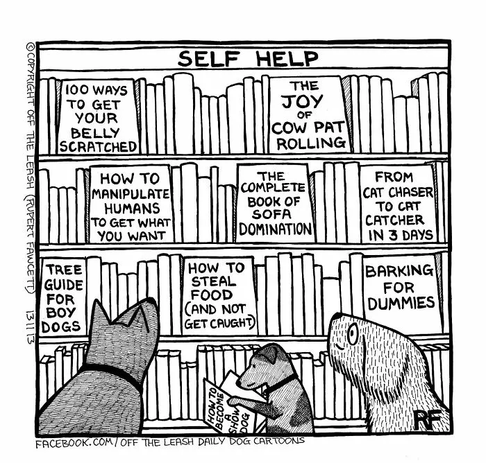30 "Off The Leash" Cartoons That Perfectly Sum Up Life With Dogs (New Pics)