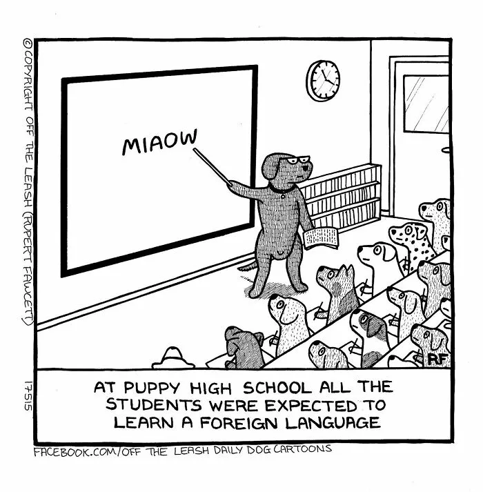 Dog teacher instructing puppies on "MIAOW" language in a humorous comic about the reality of owning a dog.