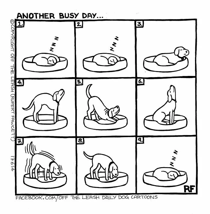 30 "Off The Leash" Cartoons That Perfectly Sum Up Life With Dogs (New Pics)