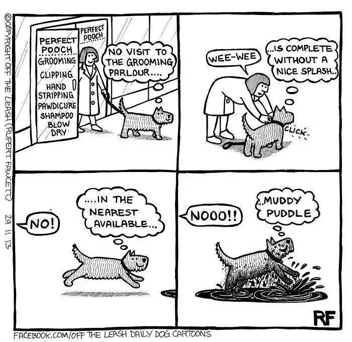 30 "Off The Leash" Cartoons That Perfectly Sum Up Life With Dogs (New Pics)