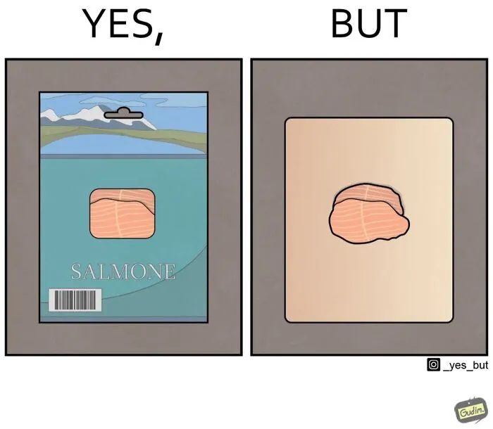 40 New “Yes, But” Comics That Continue To Expose Our Society’s Contradictory Nature