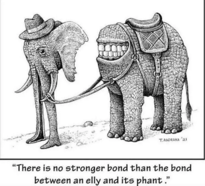Drawing of a humorous elephant split into two, illustrating an "elly" and "phant" with a funny quote below.