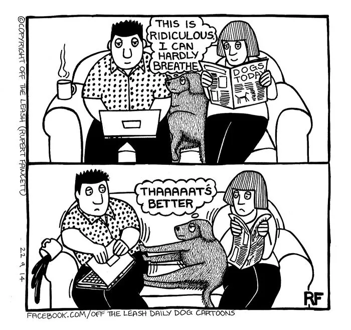 30 "Off The Leash" Cartoons That Perfectly Sum Up Life With Dogs (New Pics)