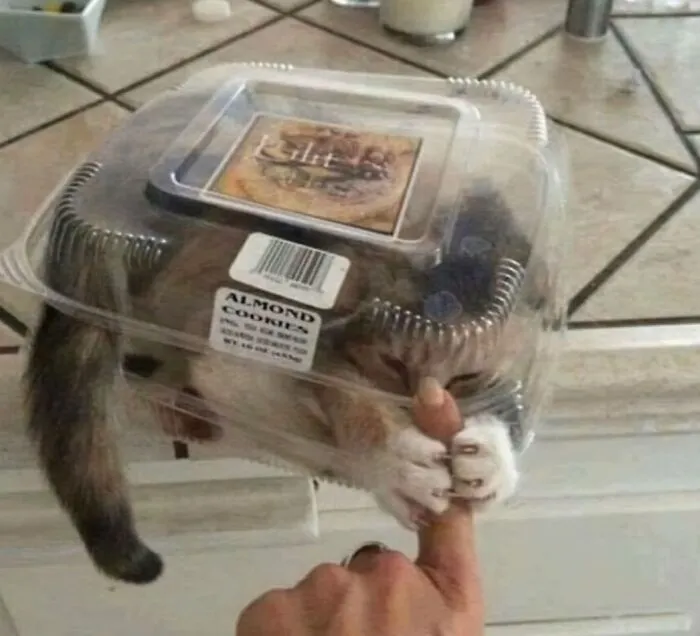 Aggressive Cookies