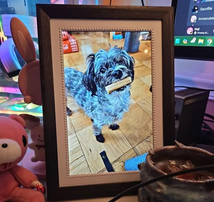 Show Off Your Best Selfies Without Cluttering Surfaces With This <a Style="Display:inline;" Href="Https://Www.amazon.com/Digital-Picture-Electronic-Storage-Instantly/Dp/B0d48hskrr?ie=utf8&th=1&linkcode=ll1&tag=bpdeer-20&linkid=c35b489ccb35ffcb51360da4098aed54&language=en_us&ref_=as_li_ss_tl" Target="_blank"><span Style="Font: Inherit; Color: #d74b1f;"> Digital Picture Frame </Span>— Your Instagram Feed, But Irl