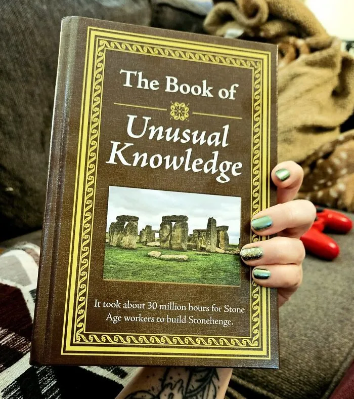  Stop Doom Scrolling And Learn Something Interesting. <a Style="Display:inline;" Href="Https://Www.amazon.com/Unusual-Knowledge-Editors-Publications-International/Dp/1450845800?ie=utf8&linkcode=ll1&tag=bpboar-20&linkid=97f1b105c779ec242437cac137b53ab0&language=en_us&ref_=as_li_ss_tl" Target="_blank"><span Style="Font:inherit;color:#d74b1f;"> The Book Of Unusual Knowledge</Span> Is The Perfect Starting Point