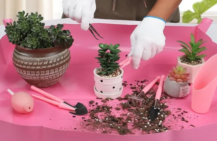 Swap Screen Time For Green Time With This <a Style="Display:inline;" Href="Https://Www.amazon.com/Pcs-Succulent-Tool-Set-Transplanting/Dp/B0dk4q9p9w?crid=isz10dc0sutv&dib=eyj2ijoimsj9.yhzeiftc-1a0w7zuijc36clgna72q7itgps2aizssiyhb--S-Tb7ztom6ylec7wykuum-6r65idds0ltrdgudmnrjdu1xydy-Omvaylahnzeespflzdrf9hojwsb6zspeqrmkfhp0viqnaaeumskle4njtblq87legwgnyvbxpy0yl8kp8oljrrjl6a8l-Ext5gnx_yhb9h-Keejzki9ef9dgiaoyzedzigftymkz-Xt5olcxwehhyx9o2qup4jh3xgni0pggjrainmstnnvn3rdw7x4w0gpvrmge2ayess.nwmk0gjufaghkzewnep5kspkj_j3wsfcabezqx3izgm&dib_tag=se&keywords=gardening%2bstarter%2bpack&qid=1740666307&sprefix=gardening%2bstarter%2bpack%2caps%2c198&sr=8-1-Spons&sp_csd=d2lkz2v0tmftzt1zcf9hdgy&th=1&linkcode=ll1&tag=bpboar-20&linkid=b972fbd136a36575a968560a8e7c6d49&language=en_us&ref_=as_li_ss_tl" Target="_blank"><span Style="Font: Inherit; Color: #d74b1f;"> Beginner’s Gardening Kit</Span>— Because Plants Won’t Judge Your Digital Detox Progress