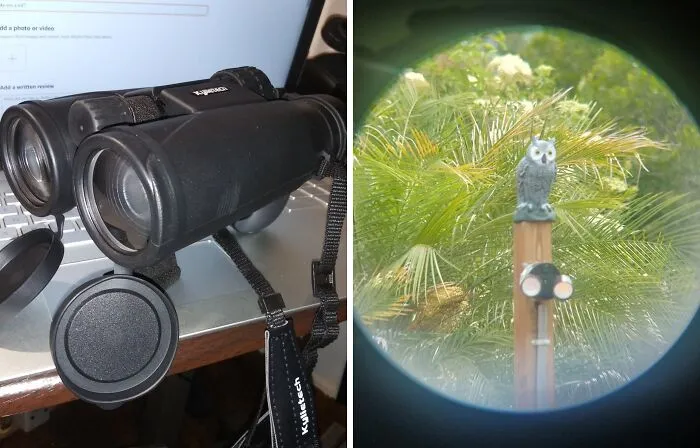 Step Into Your Backyard And Channel Your Inner David Attenborough With These <a Style="Display:inline;" Href="Https://Www.amazon.com/Kylietech-Binoculars-Professional-Waterproof-Sports-Bak4/Dp/B0798q79rv?ie=utf8&linkcode=ll1&tag=bpboar-20&linkid=92ebde46e80a3e067978c8d71994e983&language=en_us&ref_=as_li_ss_tl" Target="_blank"><span Style="Font: Inherit; Color: #d74b1f;"> Binoculars</Span>— Real Birds Are Way More Interesting Than Your Twitter Feed