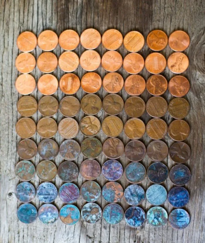 The Life Cycle Of A Penny