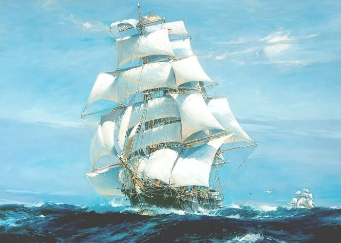 Great Tea Race Of 1866