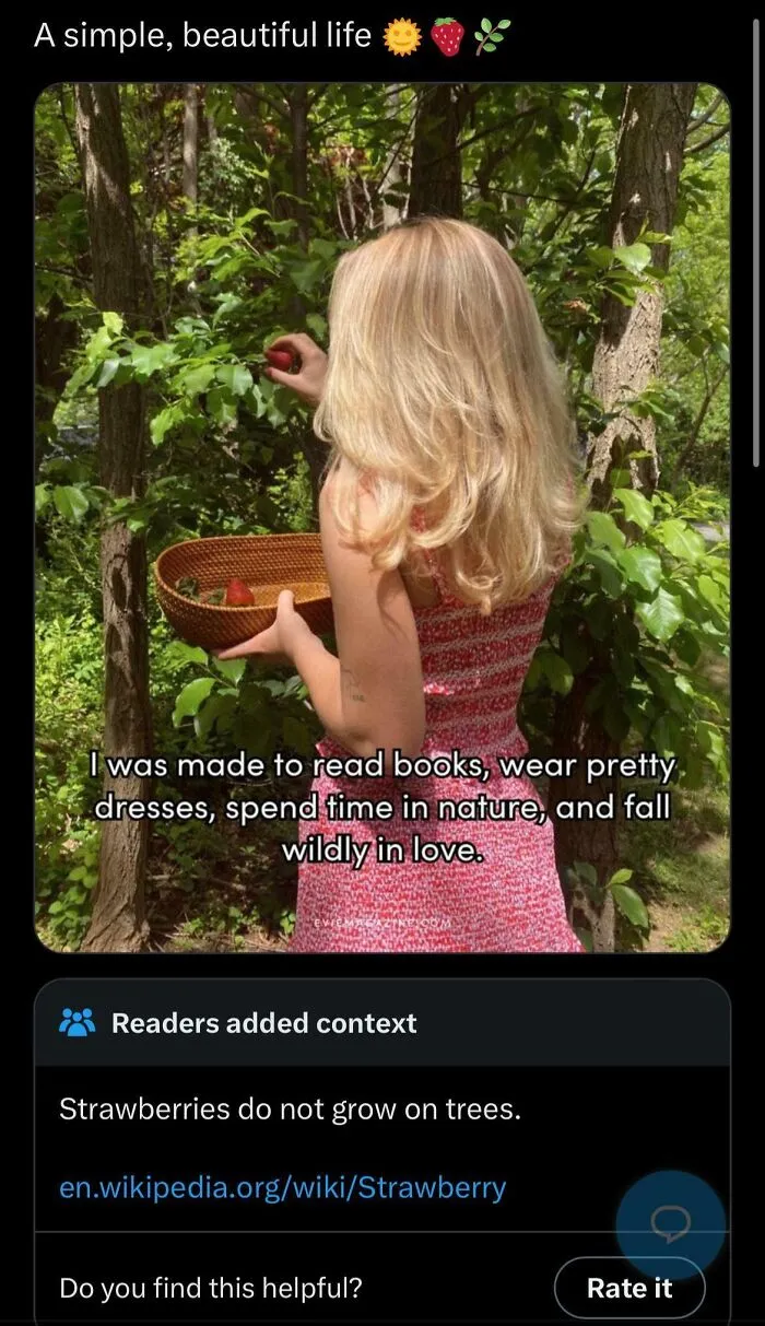 Not How Strawberries Work