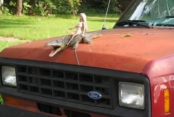 Funny-Random-Rare-Pictures