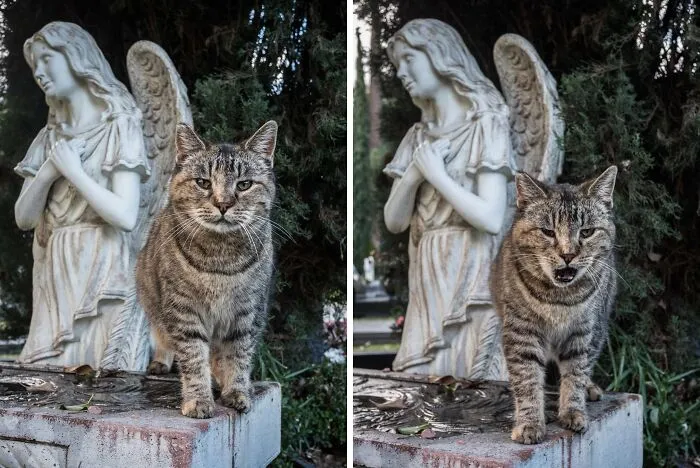 Los Angeles, Cemetery Friend From Last Weekend