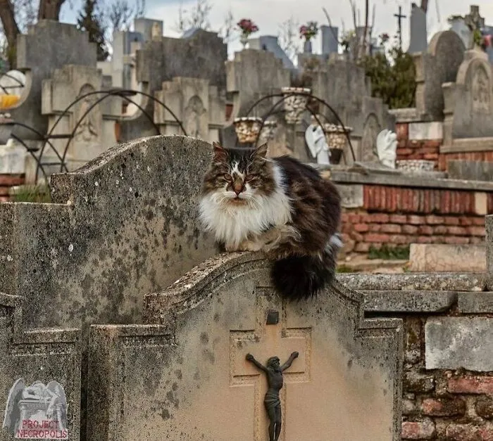 What A Wonderful Capture